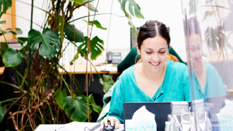 Staff member in an office wearing a blue tshirt, looking at a laptop, smiling