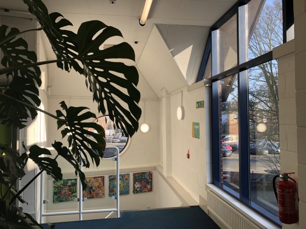 Inside the Risebrow Drop-In
