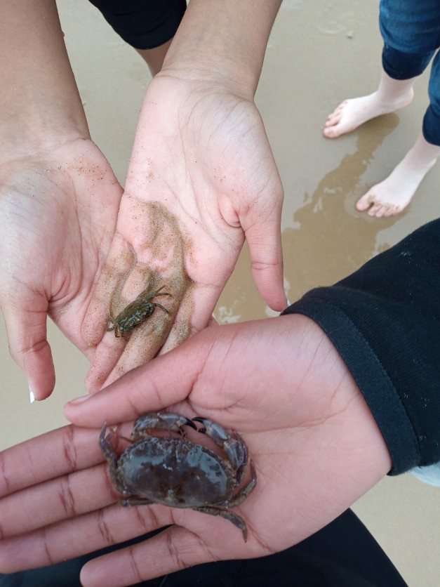 Close up of crabs being held by young poeple